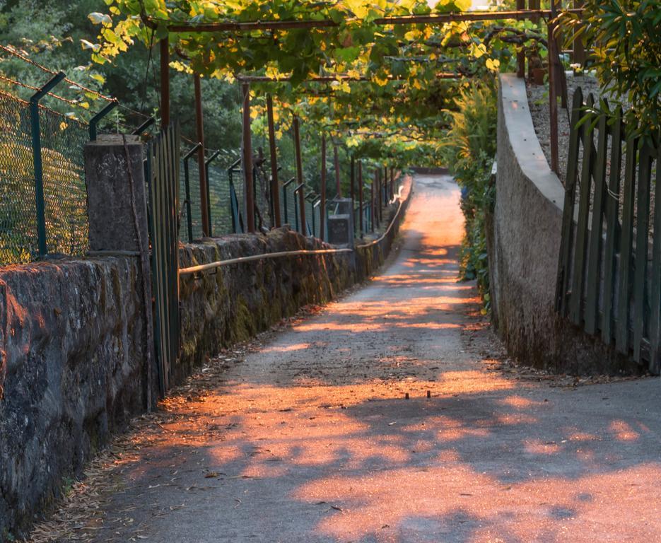 Quinta Das Leiras Santo Tirso Exterior photo